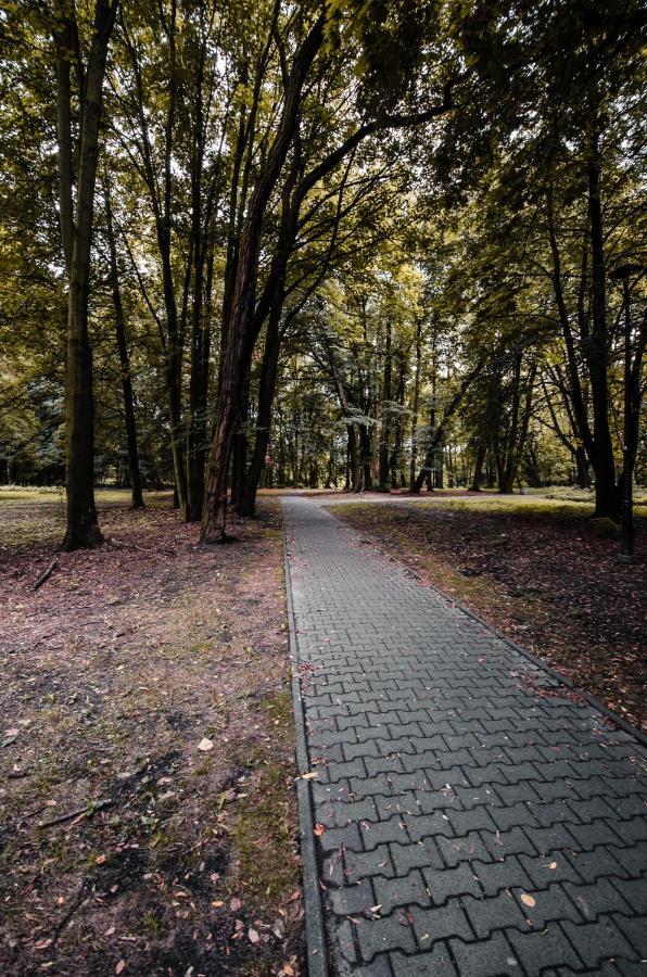 Apartament Deluxe Arcon Siemianowice Slaskie Luaran gambar
